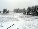 Первый снег Автор: Вахтанг
